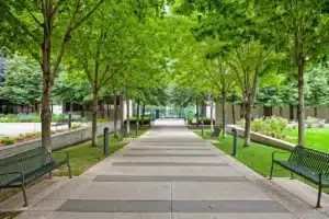 Commercial Tree Care Treemendous Tree Care Michigan