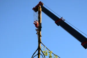 Crane Assisted Tree Removal Treemendous Tree Care Michigan