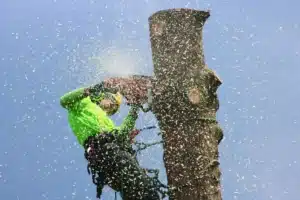 Tree Removal Service Treemendous Tree Care Michigan