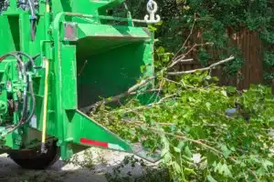 Tree Service Treemendous Tree Care Michigan