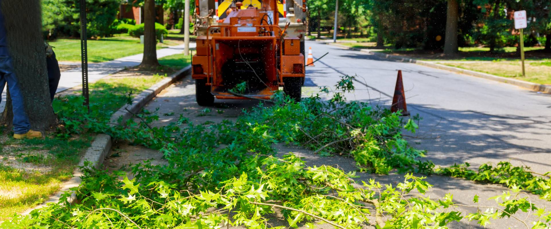 Tree Service Plano