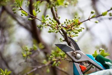 Treemendous Tree Care LLC